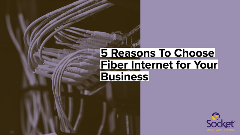 choose fiber for business