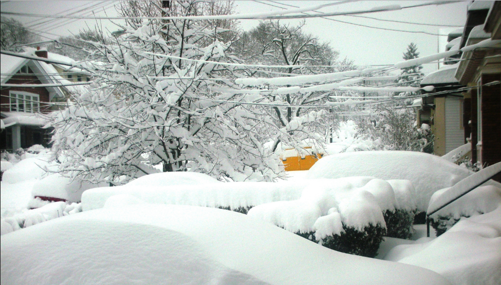 Thick snow on cars and trees in a neighborhood