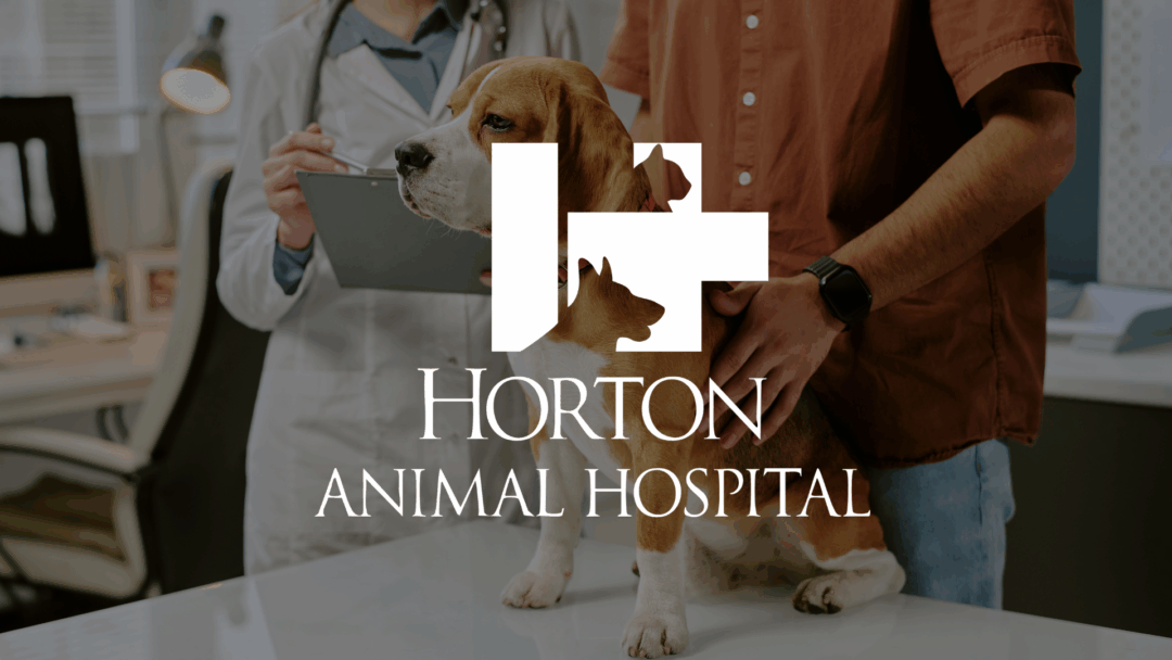 Horton Animal Hospital Northeast